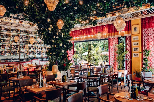 The interior or Circolo Popolora, with wisteria-covered ceilings and countless bottles of booze lining the walls.