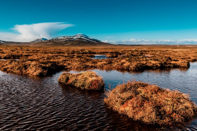 A view of the Flow Country peat bogs at Forsinard, Scotland, on a bright sunny day.