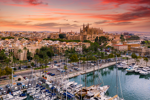 Aerial view of The Cathedral of Santa Maria of Palma. Mallorca, Spain.