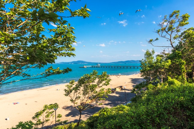 Seaside Of Burgas In Juny