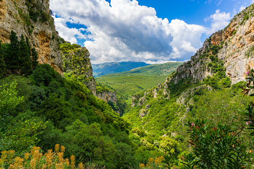 Lousios gorge in western Arcadia that stretches from Karytaina north to Dimitsana in Peloponnese Greece