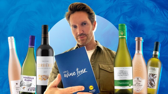 Rob Buckhaven and bottles of Lidl wine, with a blue background