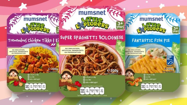 Three of Mumsnet's new frozen ready meals from Iceland on a colourful, bright background