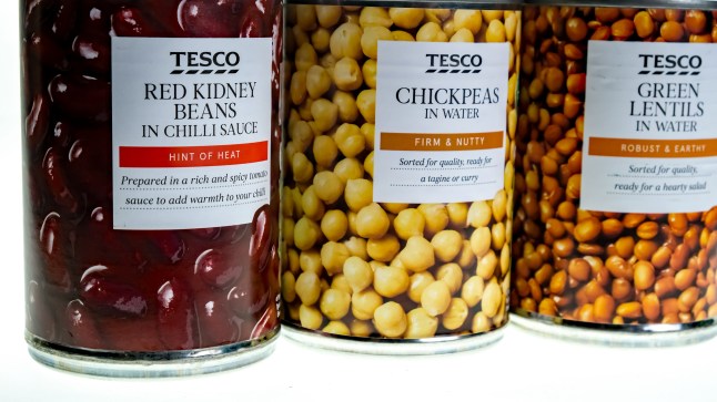 An illustrative photo of a can of red kidney beans, chick peas and green lentils on a plain white background.