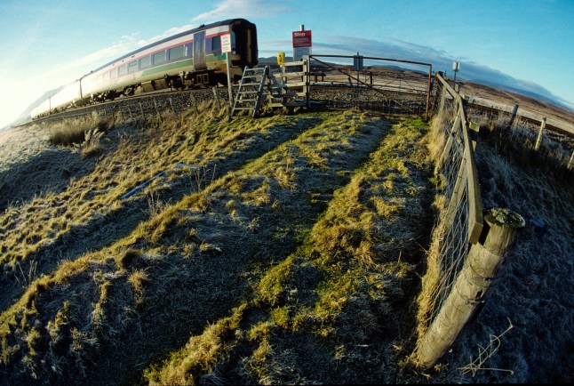 UNITED KINGDOM - DECEMBER 21: Photographed in December 2002, a ScotRail service train travels north to Inverness approaching the level crossing at Cuaich. This is just one of the many crossings on the Highland main line. The crossing serves pedestrians, farm vehicles and livestock. The Highland Main Line is 190 km (118 miles) long and runs through the Scottish Highlands linking a series of small towns and villages with Perth at one end and Inverness at the other. Train services between Inverness and Edinburgh, Glasgow and London use the line. At Inverness the line connects with the Far North Line, the Aberdeen-Inverness Line and services on the Kyle of Lochalsh Line. Much of the Highland Main Line is single track, and trains coming in opposite directions are often timed to arrive at stations at the same time, where short stretches of double track permit them to pass. Journey times between Inverness and Edinburgh or Glasgow are approximately four hours. The vast majority of the line was built and operated by the Highland Railway with a small section of the line between Perth and Stanley built by the Scottish Midland Junction Railway, amalgamated with the Aberdeen Railway to become the Scottish North Eastern Railway in 1856, and then absorbed by the Caledonian Railway in 1866. Originally, the line between Inverness and Perth went via Forres, but the Inverness and Aviemore Direct Railway was opened in 1898 to allow for a more direct routeing. There are two significant summits on the line; Drumochter Summit between Blair Atholl and Dalwhinnie, and Slochd Summit between Carrbridge and Inverness. Other distinct features on the route include the viaducts at Culloden and Tomatin, the spectacular mountain pass at Drumochter and the severe gradients encountered in both directions, particularly the extended climb from Inverness to the Slochd summit which averages around 1 in 60 the whole way. (Photo by National Railway Museum/SSPL/Getty Images)