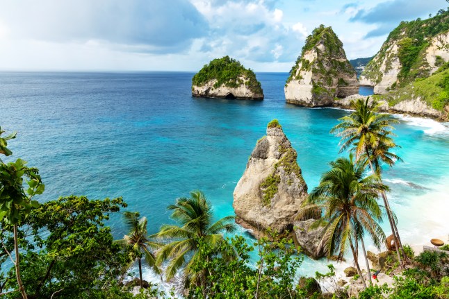A stunning view of turquoise waters, rock formations and trees on Diamond Beach in Nusa Penida, Bali, Indonesia.