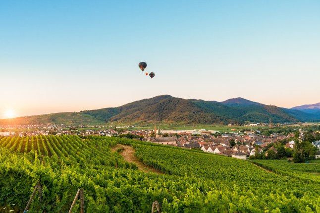 A hot air balloon flying over the vine region of Alsace