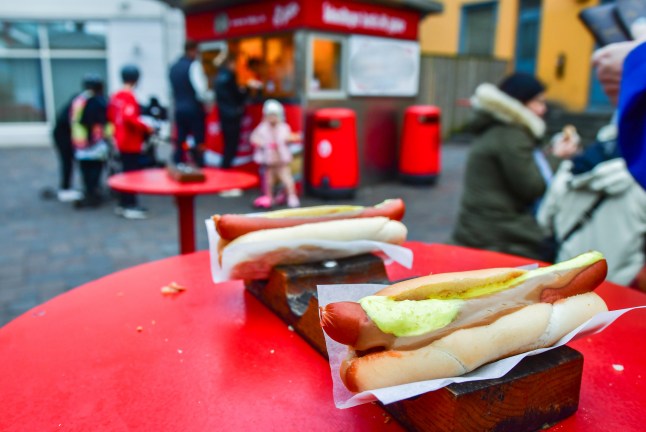 Reykjavik, Iceland - march 15th, 2023: Close up traditional tasty hotdogs and customers by stand in line downtown Reykjavik.Famous traditional icelandic foods