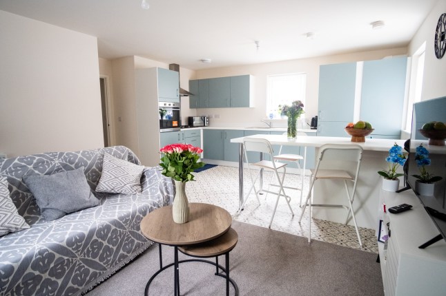 Swapna Narayanan of Rotherham What I own Feature Living room/Dining/kitchen 07 May 2025 Image Copyright P96