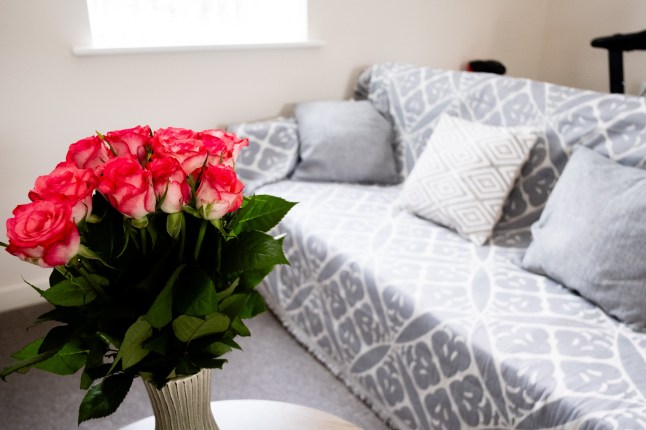 Swapna Narayanan of Rotherham What I own Feature Living room 07 May 2025 Image Copyright P96