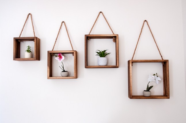 Swapna Narayanan of Rotherham What I own Feature Living room 07 May 2025 Image Copyright P96
