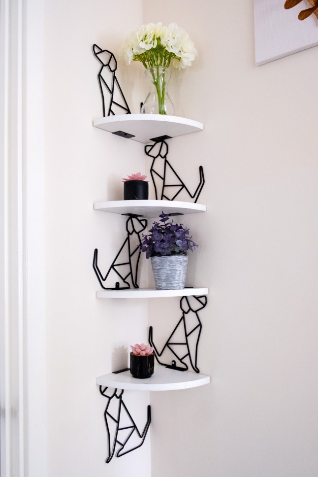 Swapna Narayanan of Rotherham What I own Feature Entrance Hall shelves 07 May 2025 Image Copyright P96