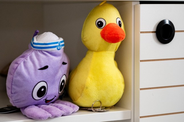 Swapna Narayanan of Rotherham What I own Feature living room 07 May 2025 Image Copyright P96