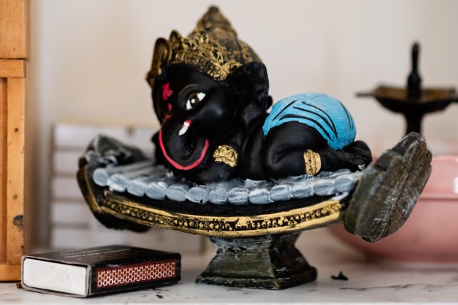 Swapna Narayanan of Rotherham What I own Feature livingroom 07 May 2025 Image Copyright P96