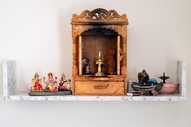 Swapna Narayanan of Rotherham What I own Feature livingroom 07 May 2025 Image Copyright P96