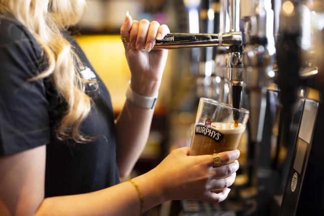 A pint of Murphy's Irish Stout is poured by a bar tender